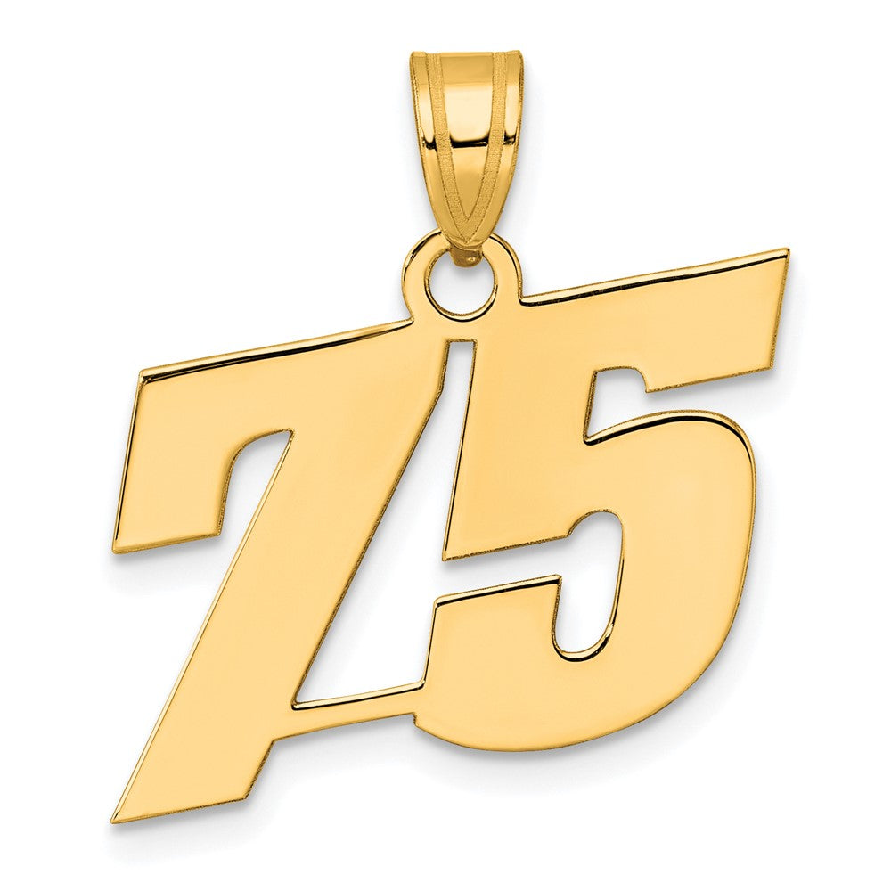 Charlie & Co Jewelry | 14k Polished Block Number 75 Pendant - Model BN75