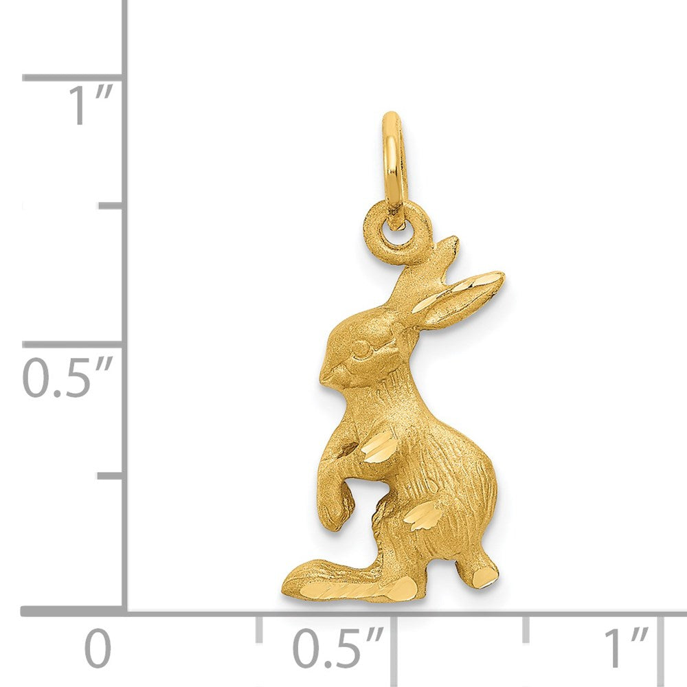 Charlie & Co Jewelry | 14k Jack Rabbit Charm - Model C1161