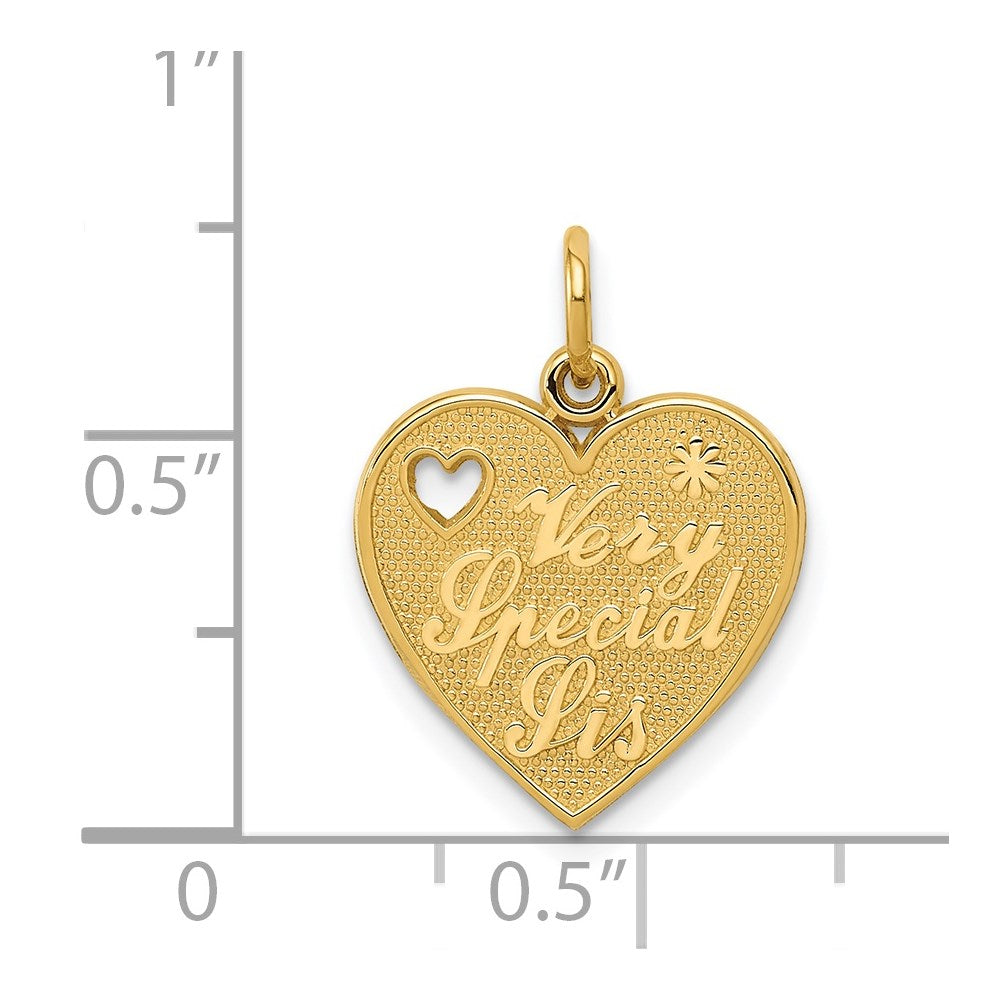 Charlie & Co Jewelry | 14k Very Special Sis Charm - Model C1692