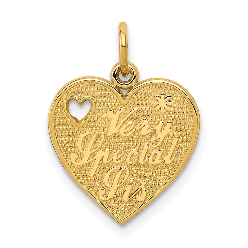 Charlie & Co Jewelry | 14k Very Special Sis Charm - Model C1692