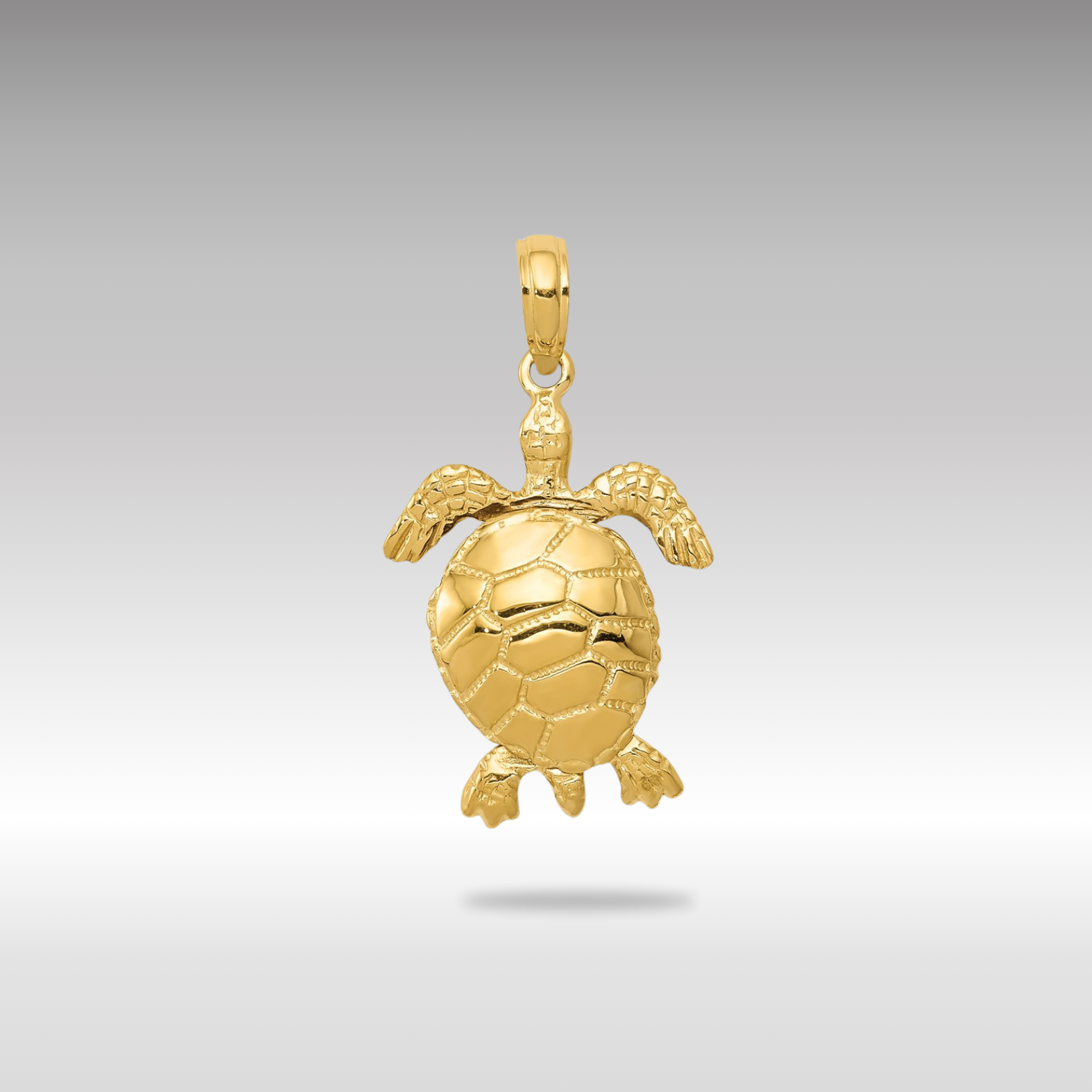 Gold Polished Turtle Charm - Charlie & Co. Jewelry