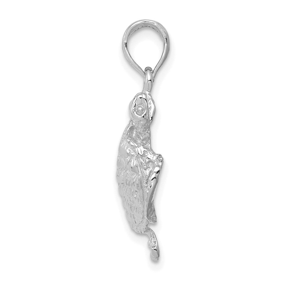 14K White Gold Polished Open-Back Turtle Pendant - Charlie & Co. Jewelry