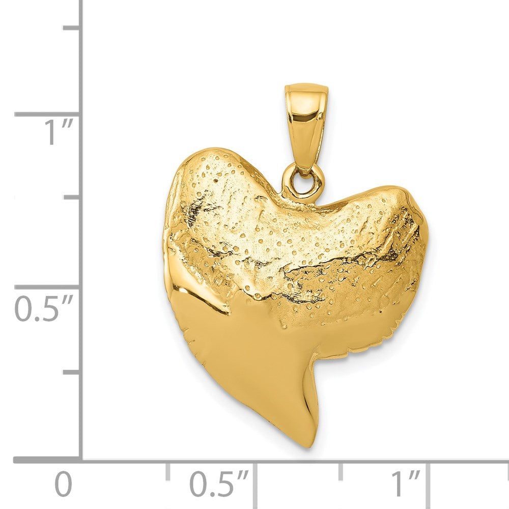14K Gold Classic 3D Shark Tooth Pendant - Charlie & Co. Jewelry