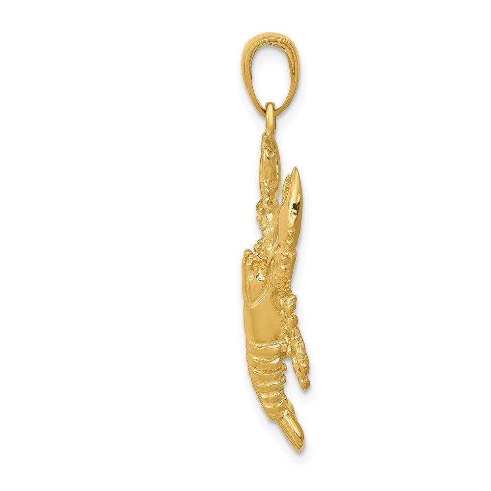 Charlie & Co Jewelry | 14k Lobster Pendant - Model C3411