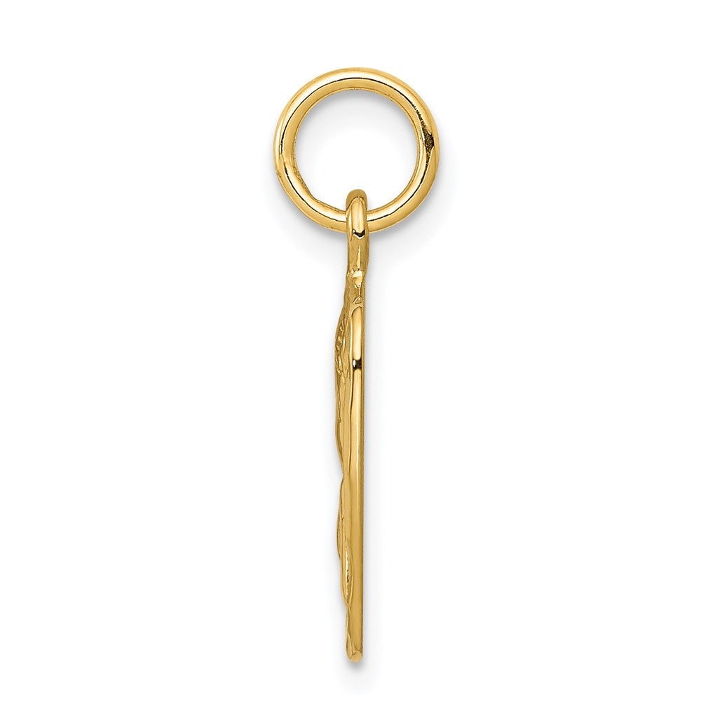 Charlie & Co Jewelry | 14k Satin And Diamond-cut Angel Charm - Model C346