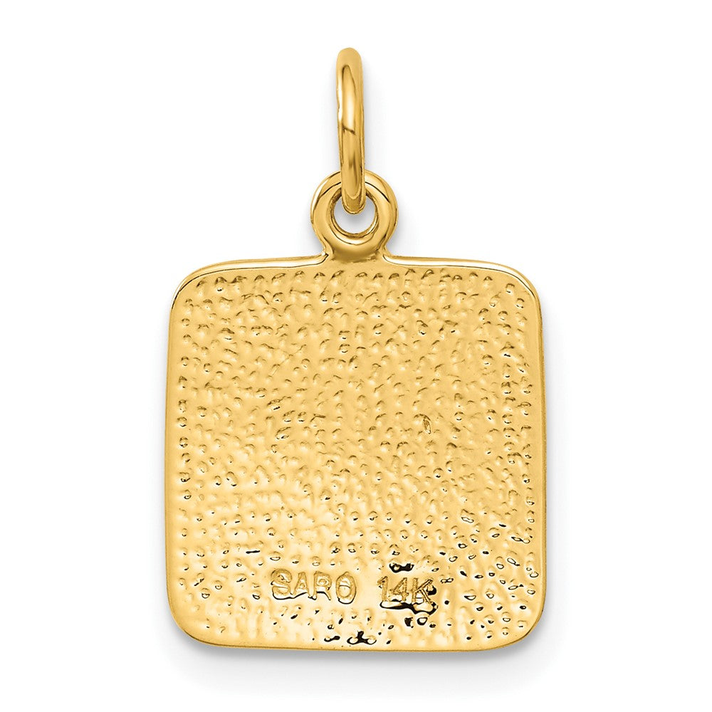Charlie & Co Jewelry | 14k Satin And Diamond-cut Angel Charm - Model C346