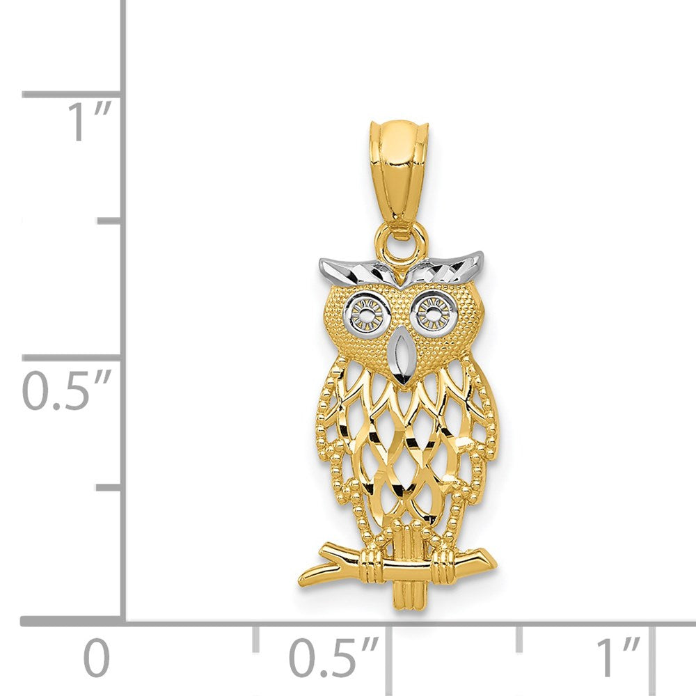 14K Yellow and White Gold Owl Pendant Necklace - Charlie & Co. Jewelry