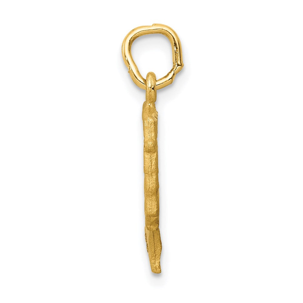 Charlie & Co Jewelry | 14k Satin Front / Polished Back Nefertiti Charm - Model C444