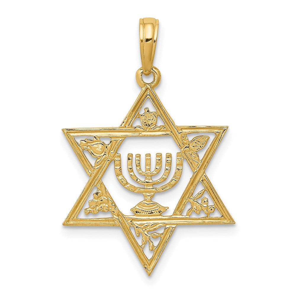 Charlie & Co Jewelry | 14k Star Of David W/menorah Pendant - Model C4452