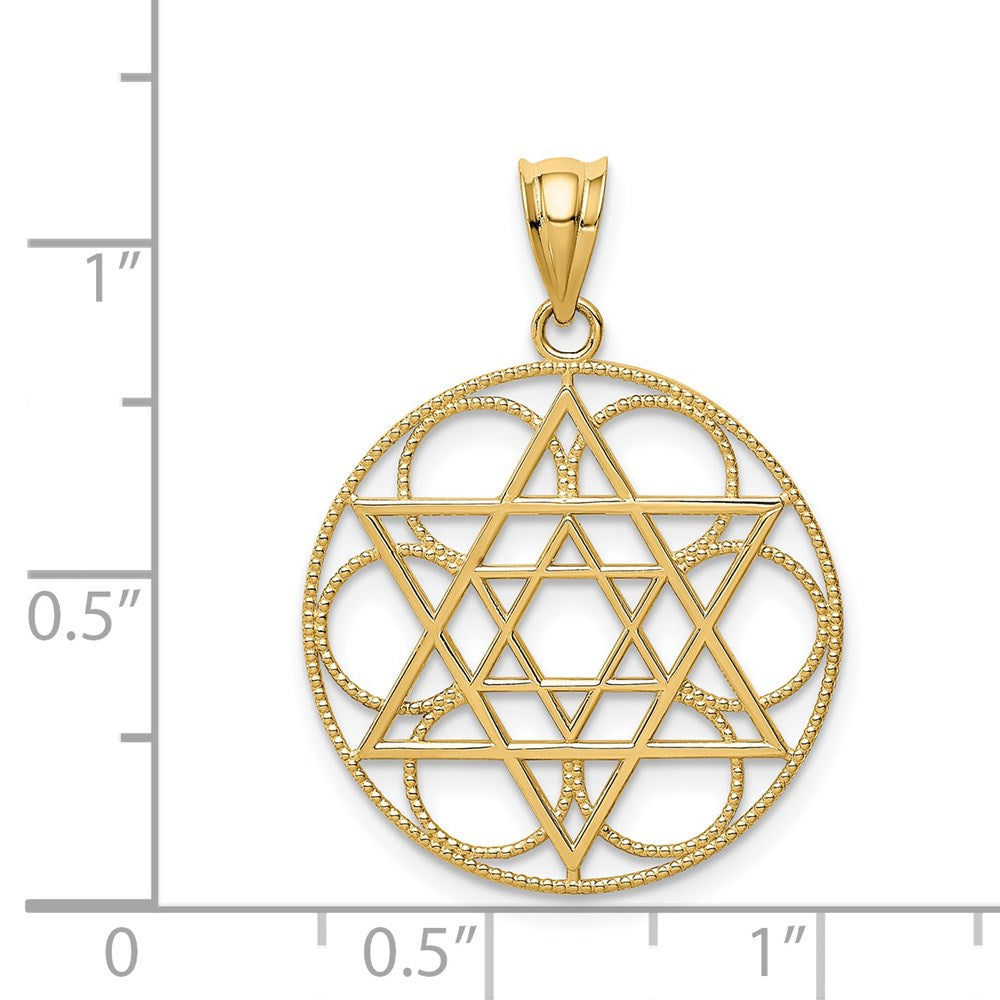 Charlie & Co Jewelry | 14k Star Of David Circle Pendant - Model C4453