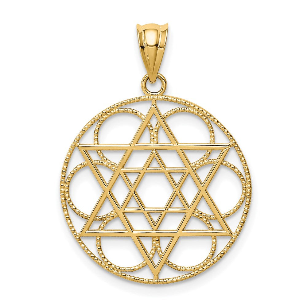 Charlie & Co Jewelry | 14k Star Of David Circle Pendant - Model C4453