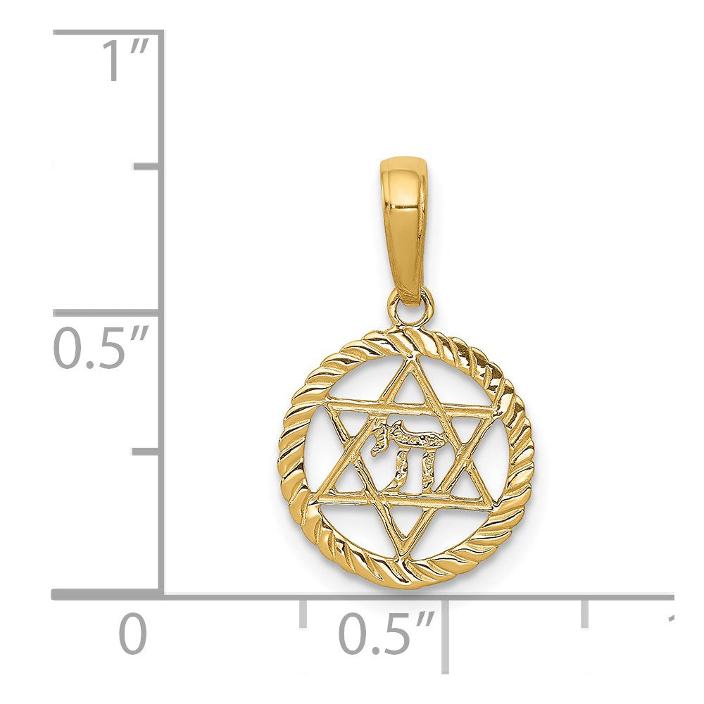 Charlie & Co Jewelry | 14k Star Of David And Chai In Circle Pendant - Model C4459