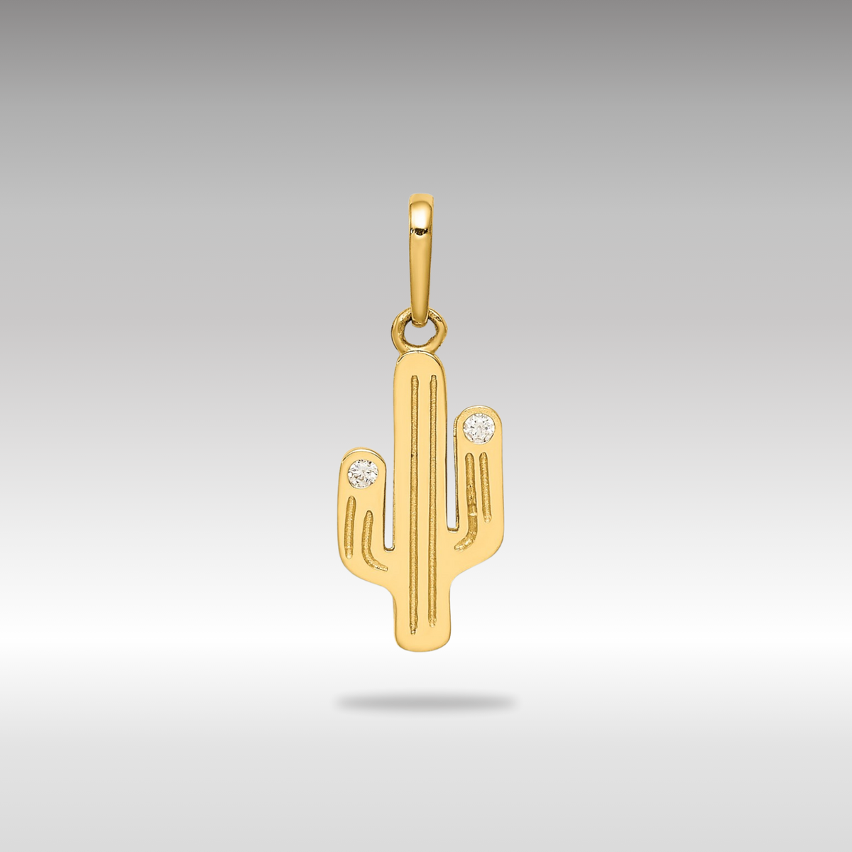 C4546_14689bc2-881c-4dba-89ee-