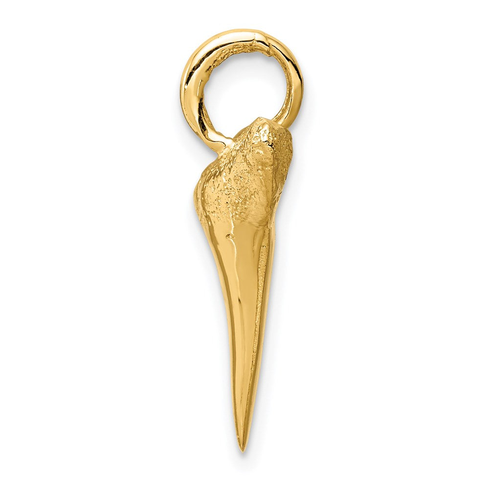 Charlie & Co Jewelry | 14k Shark Tooth Pendant - Model C4589