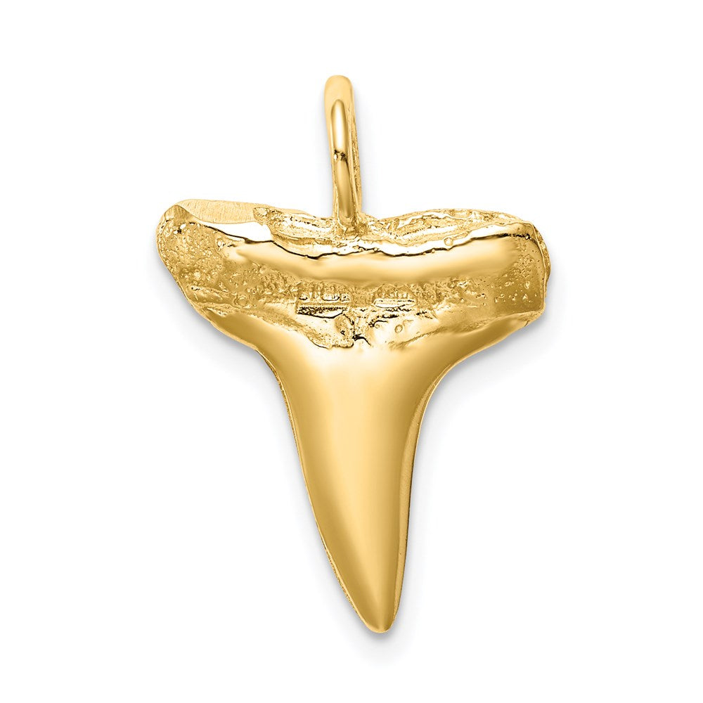 Charlie & Co Jewelry | 14k Shark Tooth Pendant - Model C4589
