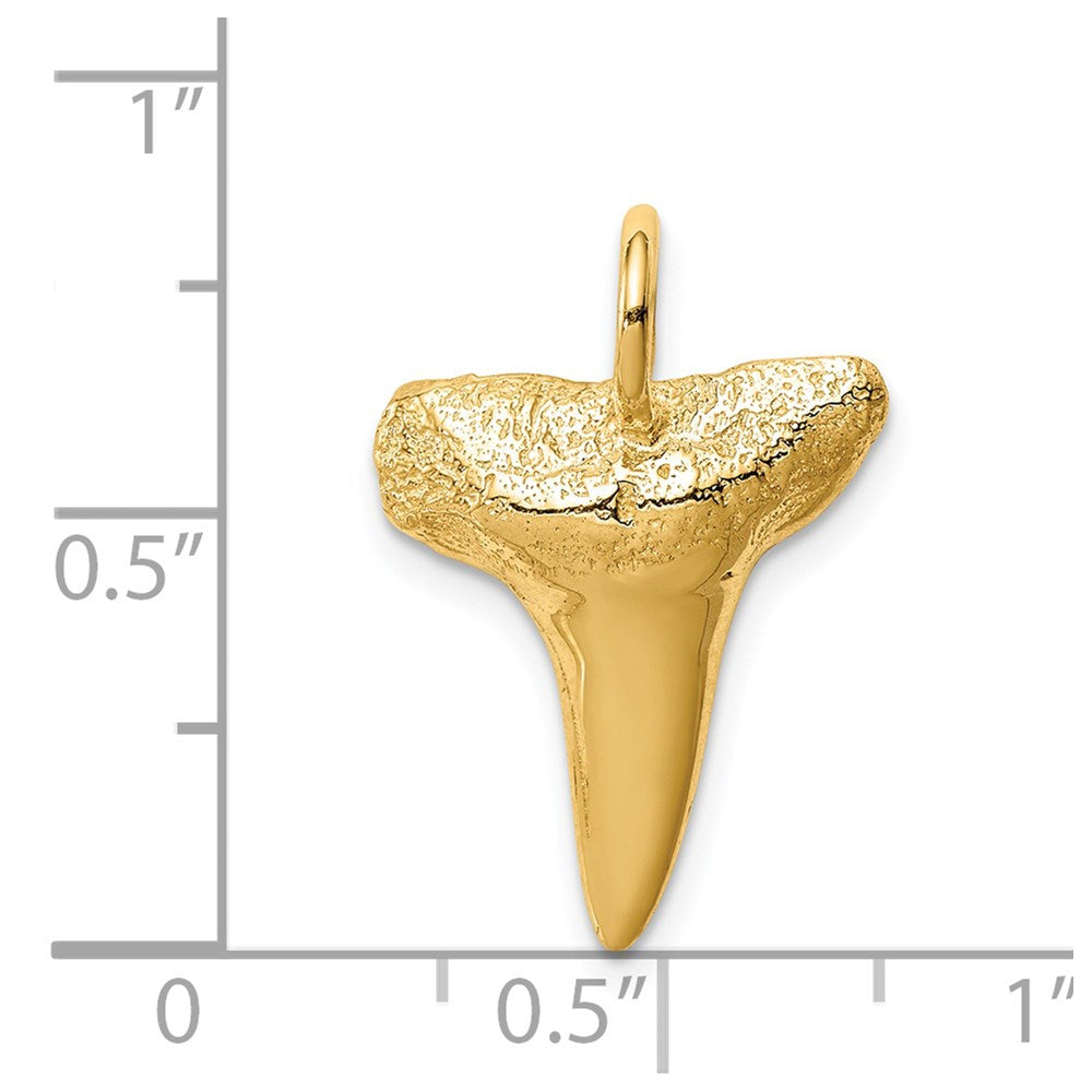 Charlie & Co Jewelry | 14k Shark Tooth Pendant - Model C4589