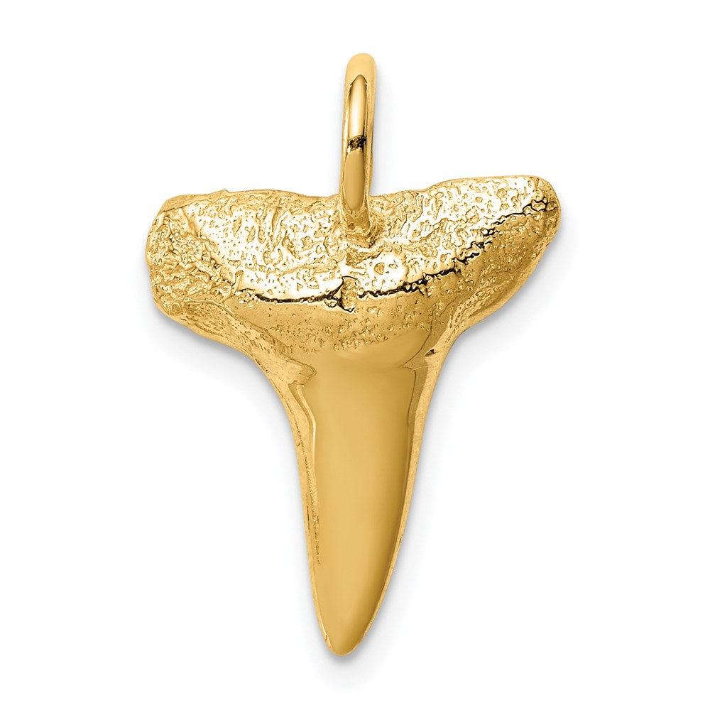 Charlie & Co Jewelry | 14k Shark Tooth Pendant - Model C4589