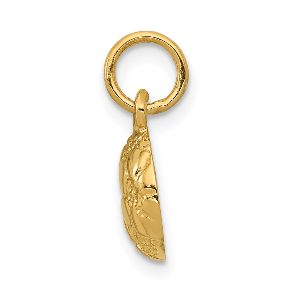 Charlie & Co Jewelry | 14k Soccer Ball Charm - Model C587