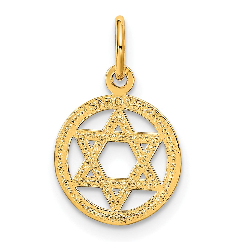 Charlie & Co Jewelry | 14k Solid Polished Star Of David Charm - Model C823