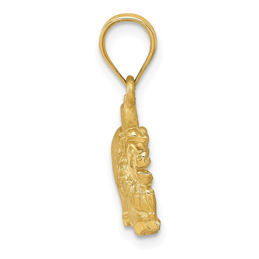 Charlie & Co Jewelry | 14k Lion Charm - Model C83