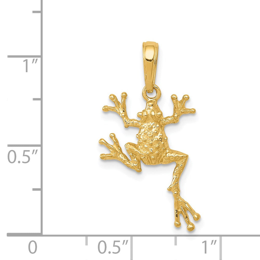 14k Gold Polished Open-Backed Frog Pendant - Charlie & Co. Jewelry