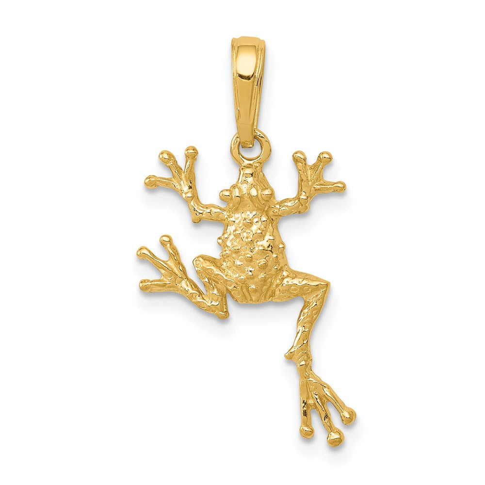 14k Gold Polished Open-Backed Frog Pendant - Charlie & Co. Jewelry