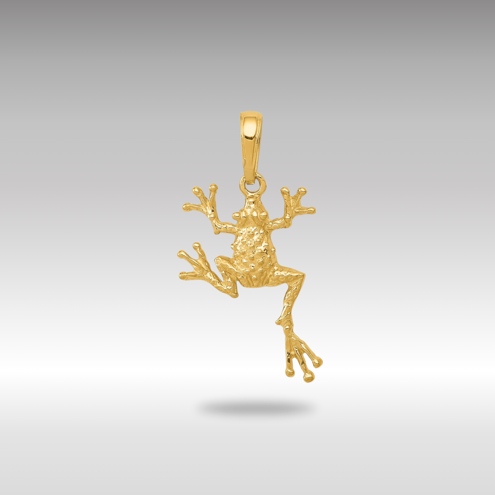 Gold Polished Open-Backed Frog Pendant - Charlie & Co. Jewelry