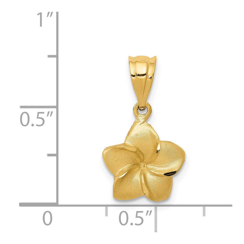 Charlie & Co Jewelry | 14k Plumeria Floral Charm Pendant - Model D330