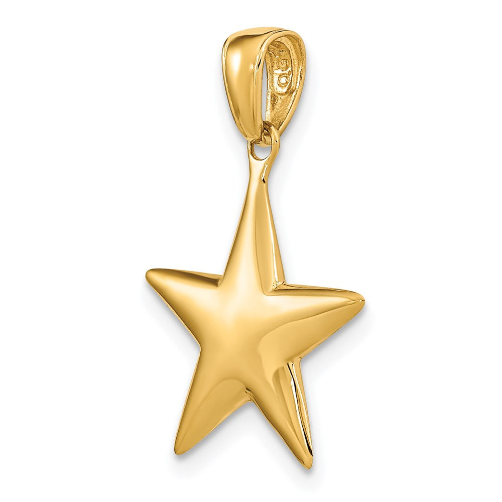 Charlie & Co Jewelry | 14k Polished 3-d Star Pendant - Model D3725
