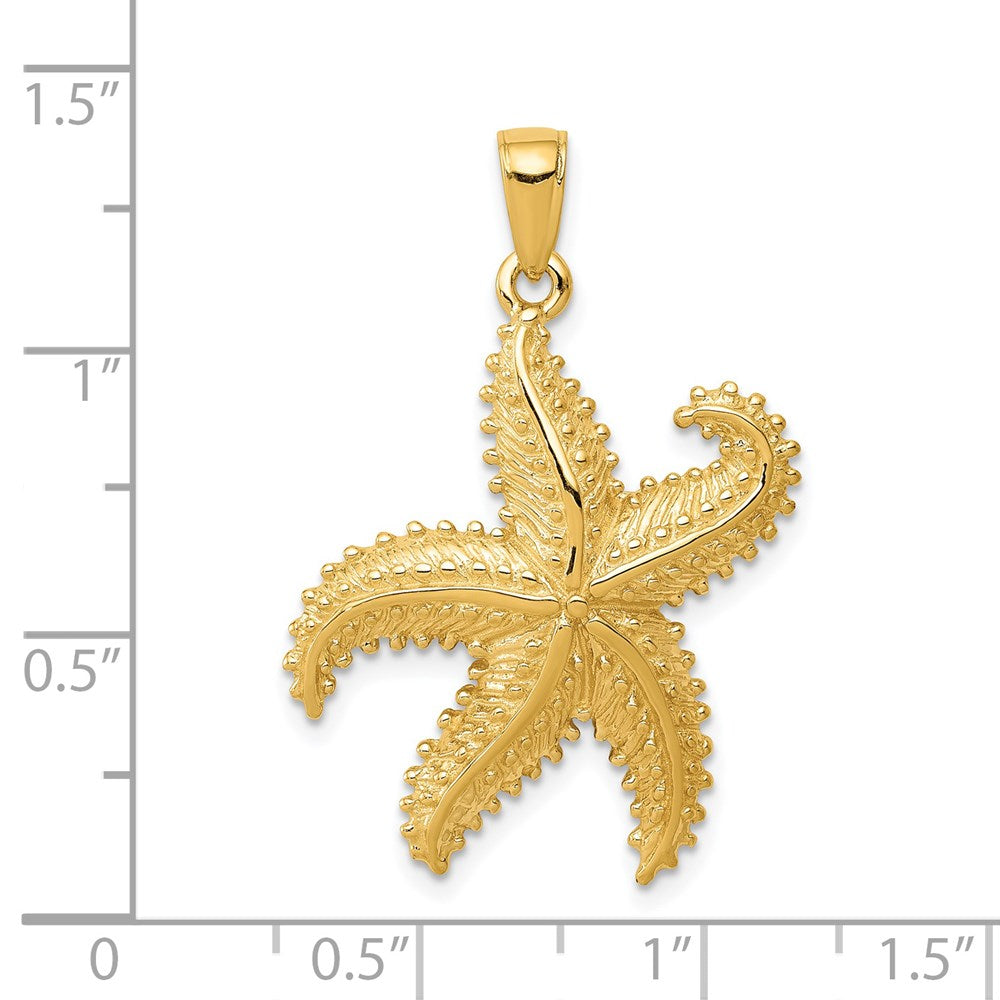 Charlie & Co Jewelry | 14k Starfish Pendant - Model D4104