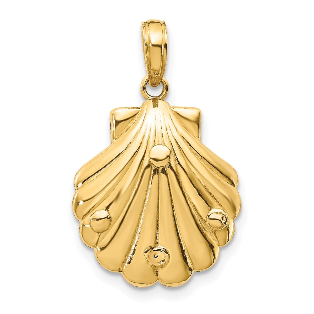 Charlie & Co Jewelry | 14k Seahorse In A Shell Pendant - Model D4396