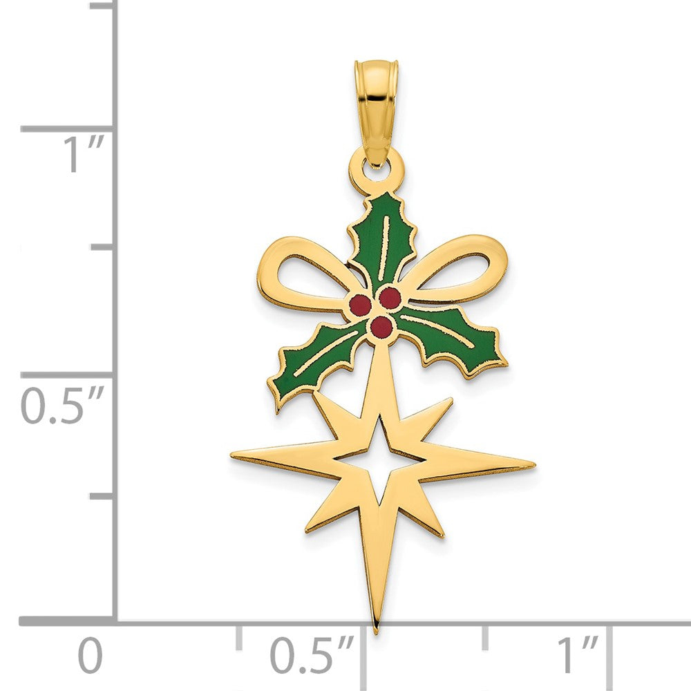 Charlie & Co Jewelry | 14k Epoxy Holly And North Star Pendant - Model D5260