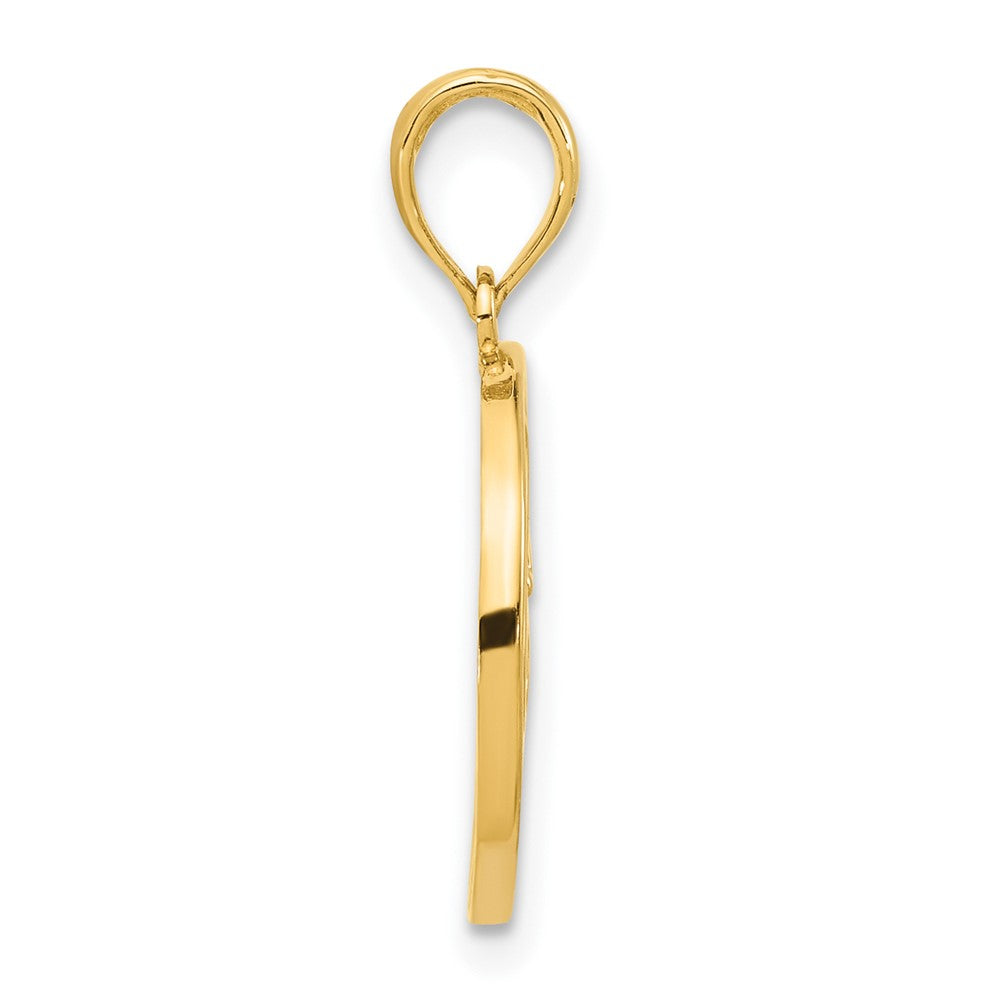 Charlie & Co Jewelry | 14k Polished Music Notes In Circle Pendant - Model D5368