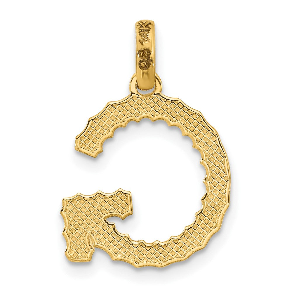Charlie & Co Jewelry | 14ky Fancy Twist  Letter G - Model D5677G