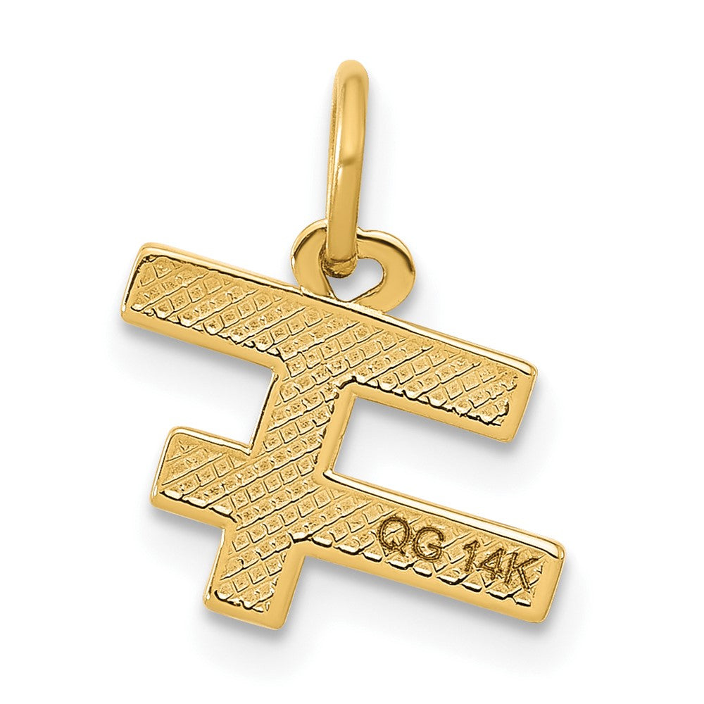 Charlie & Co Jewelry | 14k Fancy Girls Rule World - Model D5695