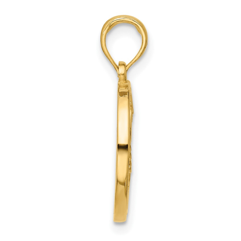 Charlie & Co Jewelry | 14k Polished Round Scorpio Pendant - Model D5738