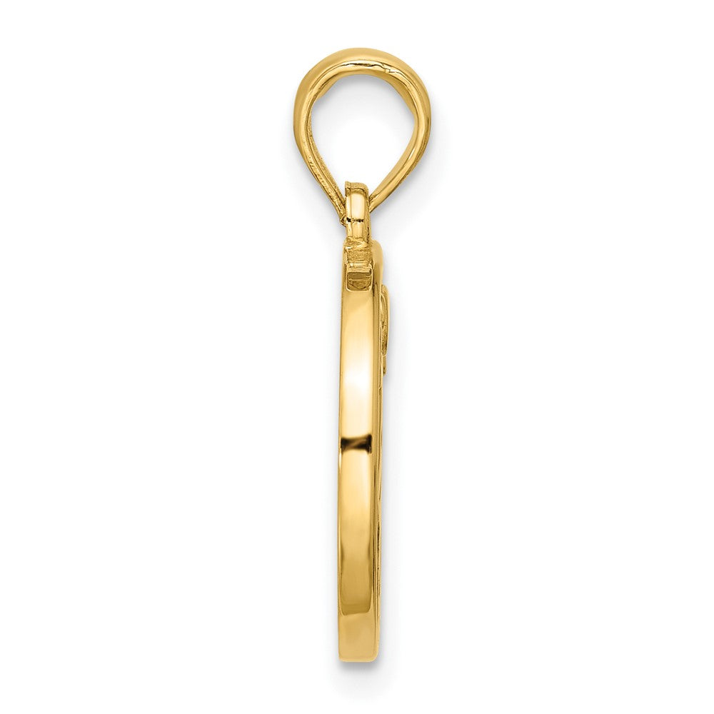 Charlie & Co Jewelry | 14k Polished Round Aries Pendant - Model D5740