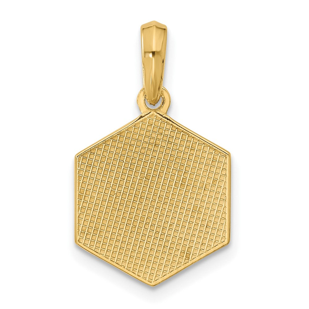 Charlie & Co Jewelry | 14k Polished D20 Twenty-sided Dice Pendant - Model D5754