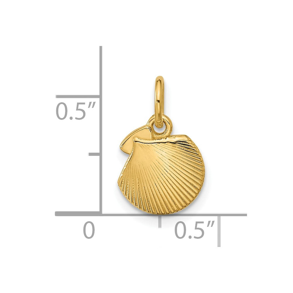Charlie & Co Jewelry | 14k Polished Textured Seashell Pendant - Model D5758