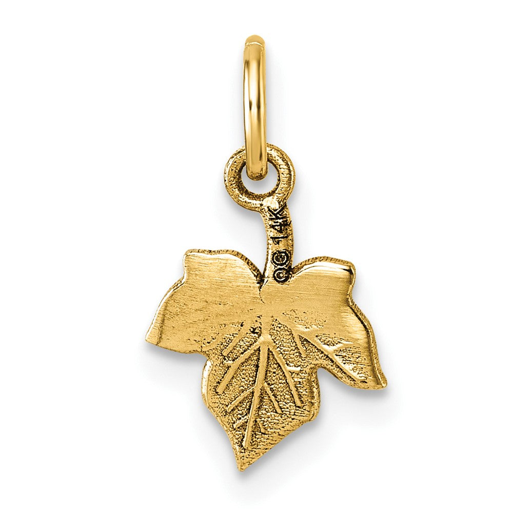 Charlie & Co Jewelry | 14k Polished Leaf Pendant - Model D5768