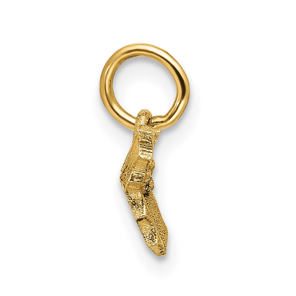 Charlie & Co Jewelry | 14k Polished Holly Pendant - Model D5777