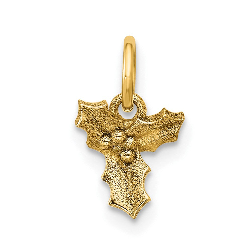 Charlie & Co Jewelry | 14k Polished Holly Pendant - Model D5777
