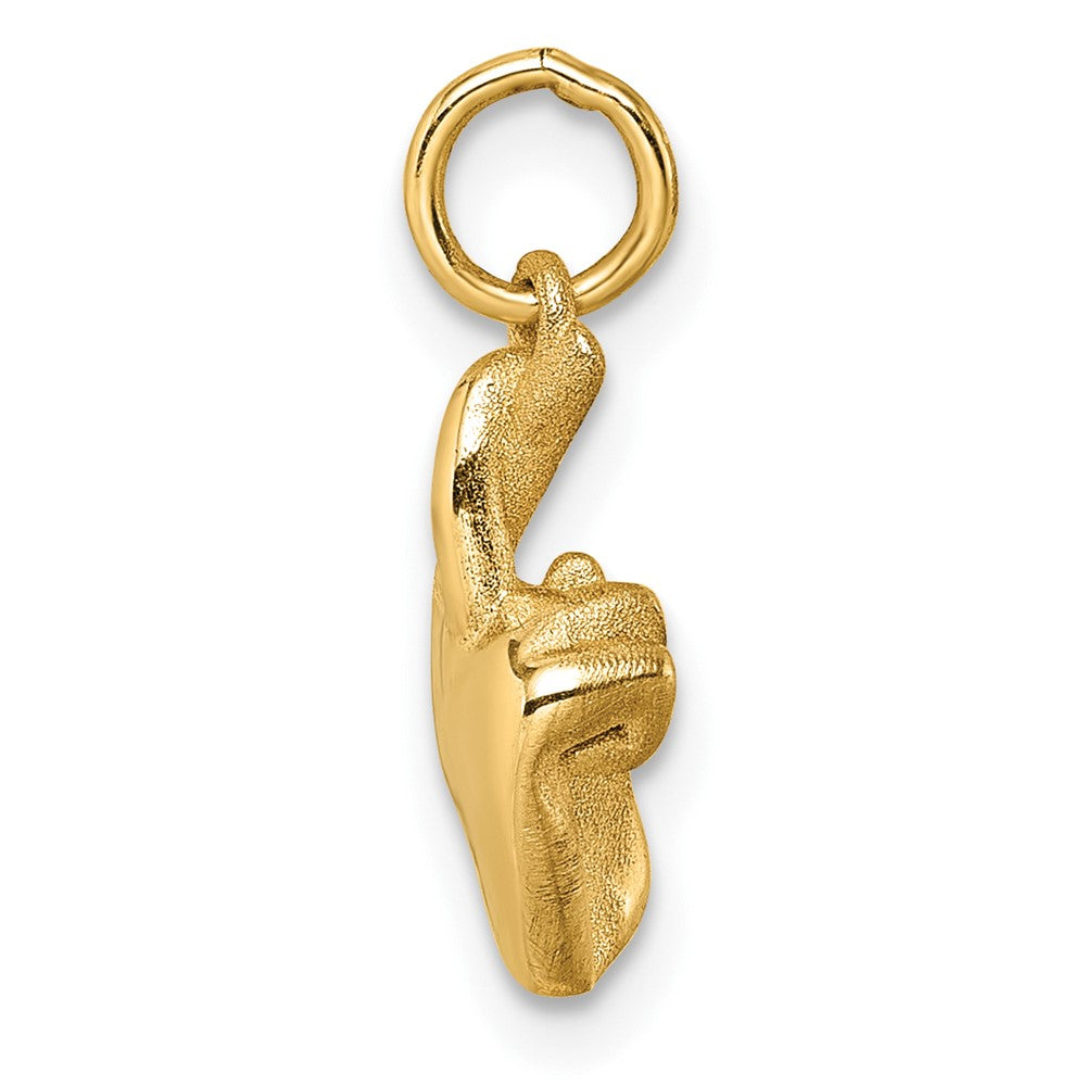 Charlie & Co Jewelry | 14k Polished Fingers Crossed Hand Pendant - Model D5798