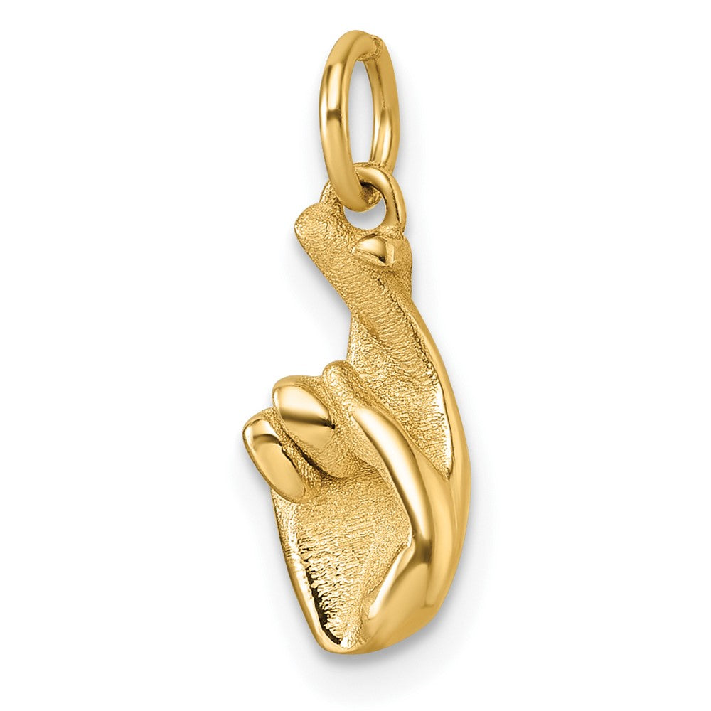 Charlie & Co Jewelry | 14k Polished Fingers Crossed Hand Pendant - Model D5798
