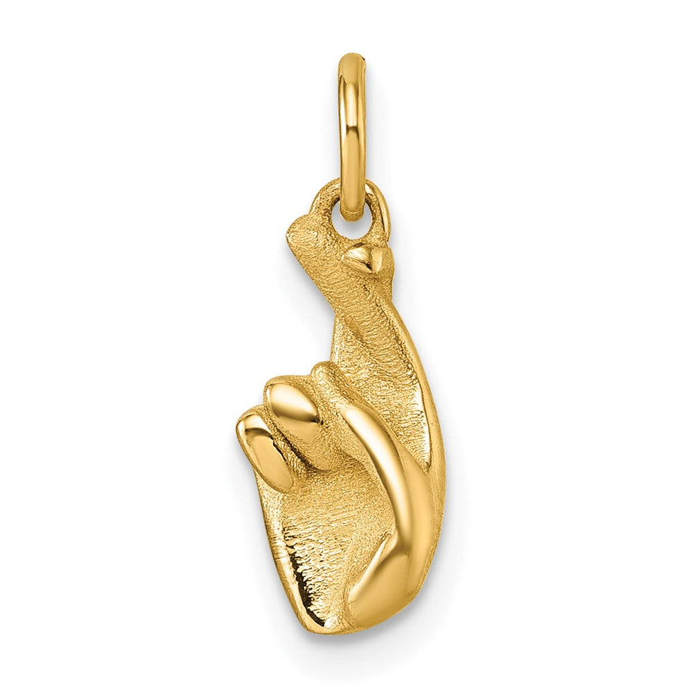 Charlie & Co Jewelry | 14k Polished Fingers Crossed Hand Pendant - Model D5798