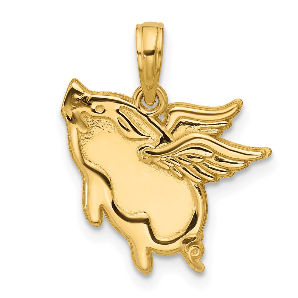 Charlie & Co Jewelry | 14k Polished Flying Pig Pendant - Model D5816