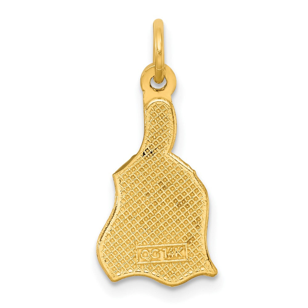 Charlie & Co Jewelry | 14k Polished Enameled Rainbow Brush Pendant - Model D5862