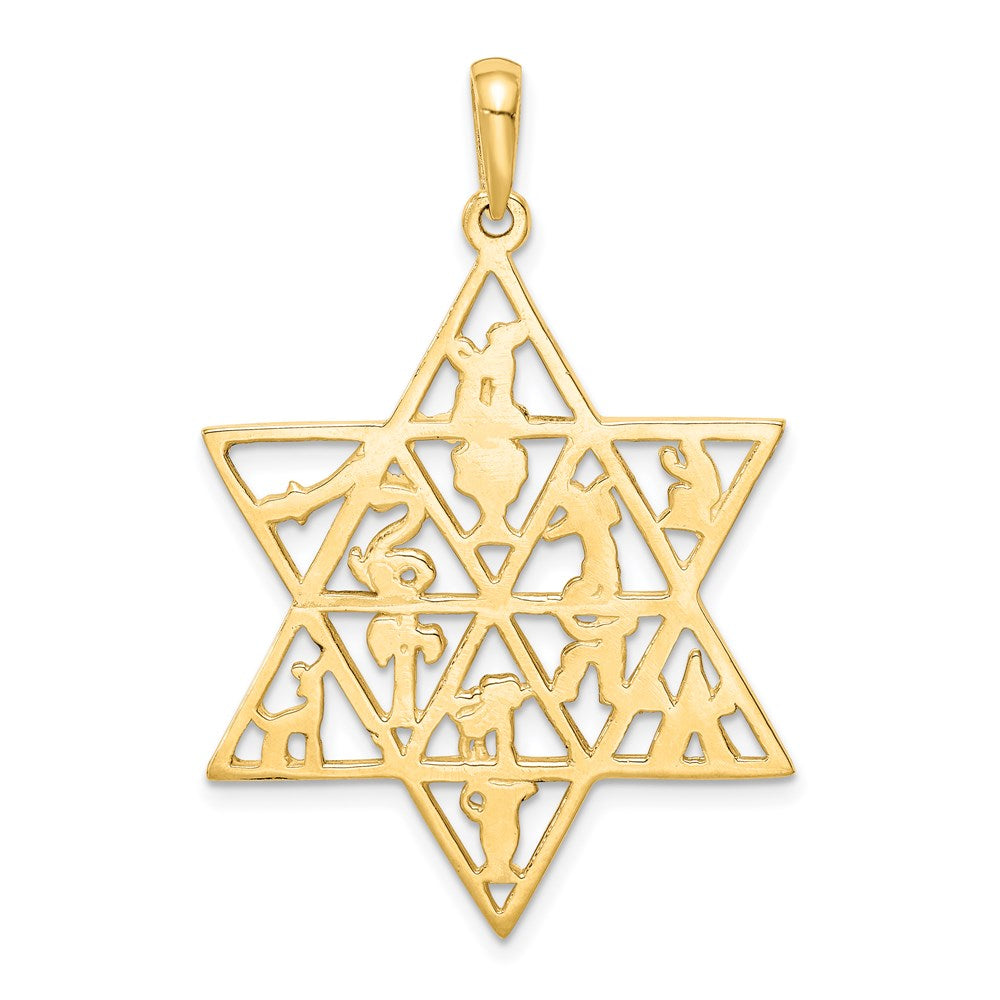 Charlie & Co Jewelry | 14k Star Of David 12 Tribes Pendant - Model D894