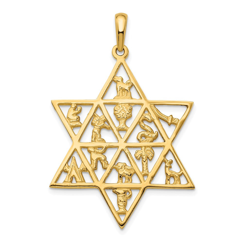 Charlie & Co Jewelry | 14k Star Of David 12 Tribes Pendant - Model D894
