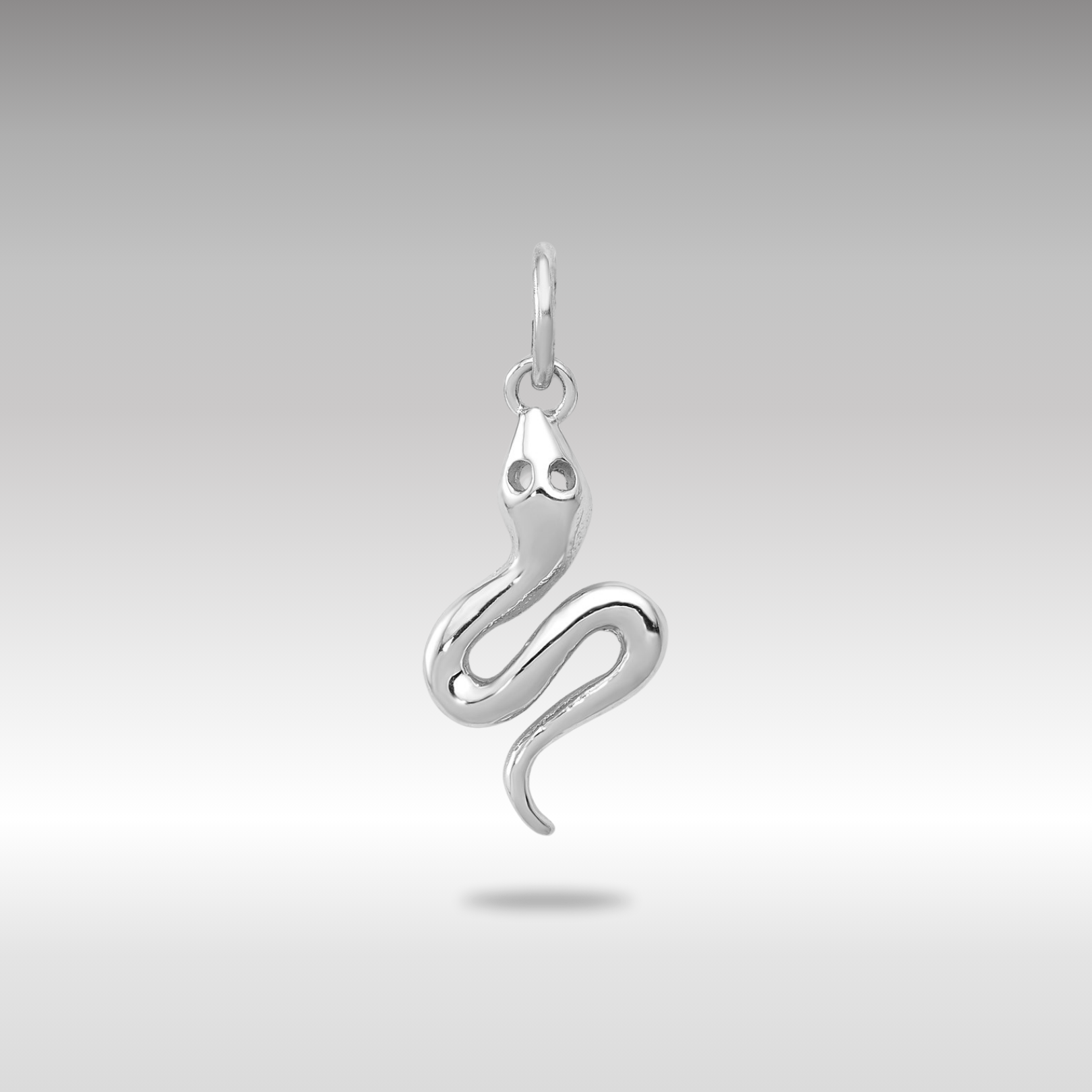 White Gold Solid Polished Serpent Charm - Charlie & Co. Jewelry